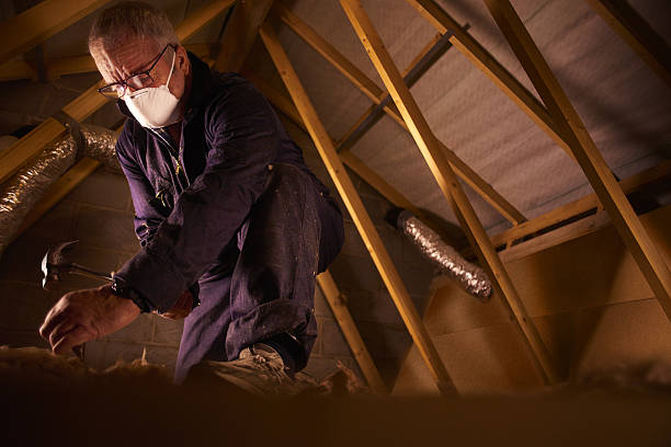 Types of Insulation We Offer in Oak Hill, OH